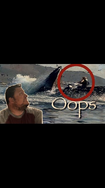 Swallowed by a Whale