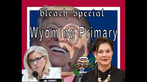 Bleach Demon's Wyoming Primary Special