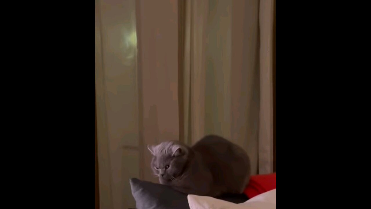 come over here