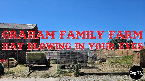 Graham Family Farm: Hay Blowing in Your Eyes