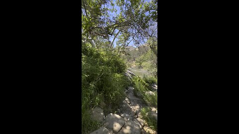 Lake Isabella River