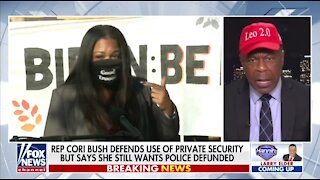 Leo Terrell: Cori Bush Is Destroying Black Communities By Taking Away Police