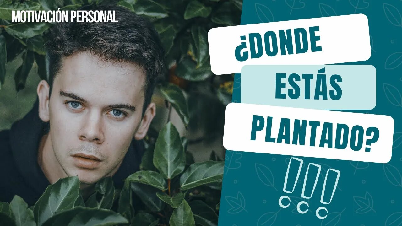 ¿DONDE ESTAS PLANTADO? - YOELVIN MOLINA