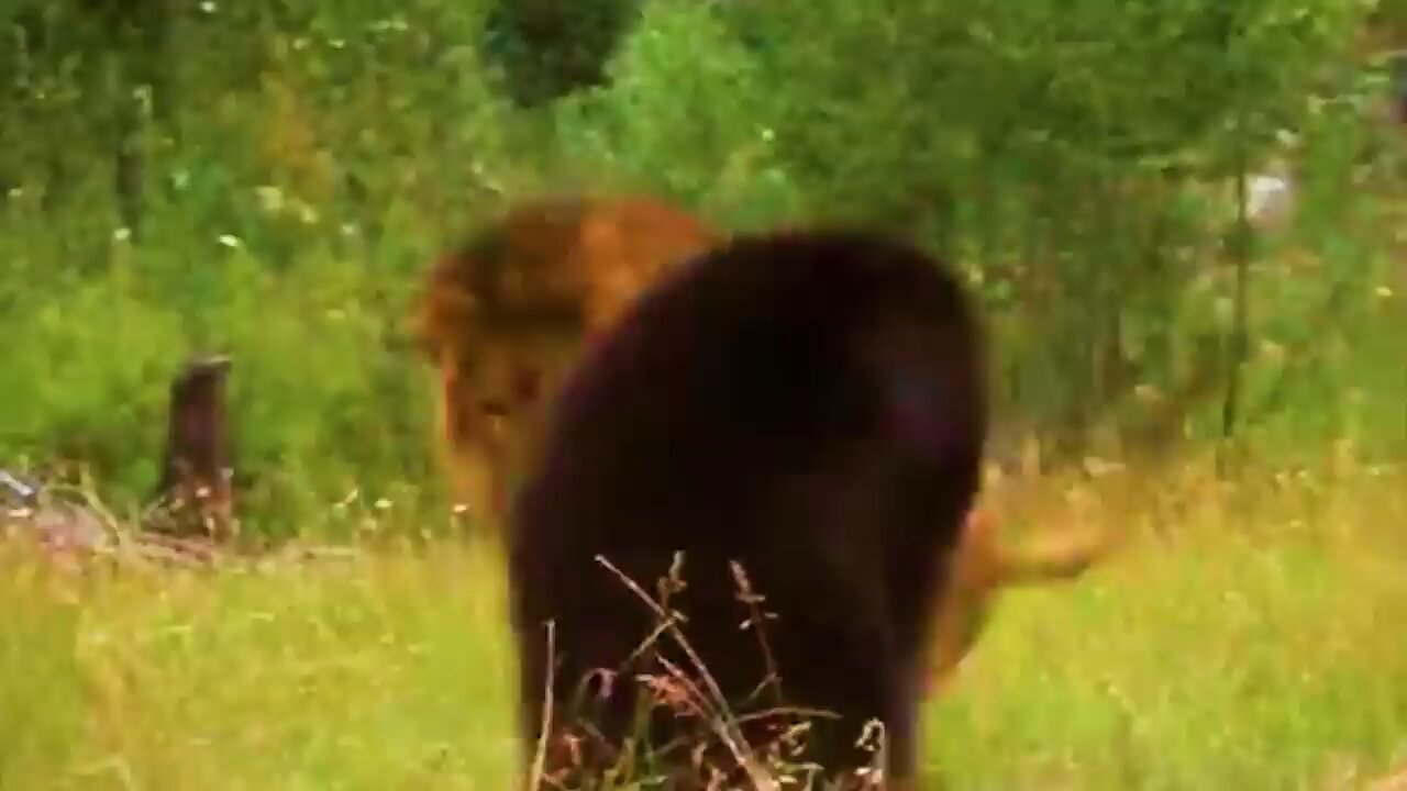 don't clash with someone stronger than you