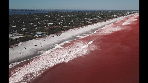 Ocean of Red