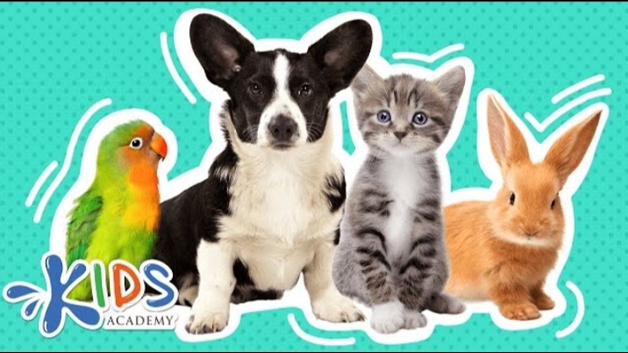 Pets | Learn More about Pets for kids |kids academy