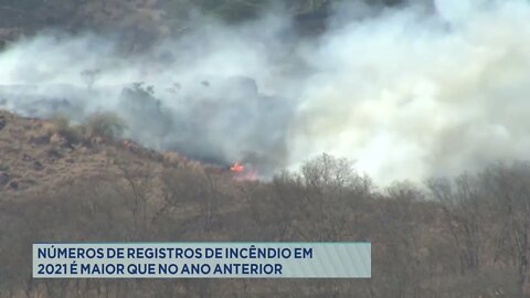 Números de registros de incêndio em 2021 é maior que no ano anterior