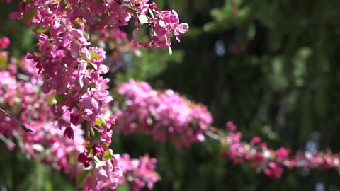 Gardening tips for this time of year