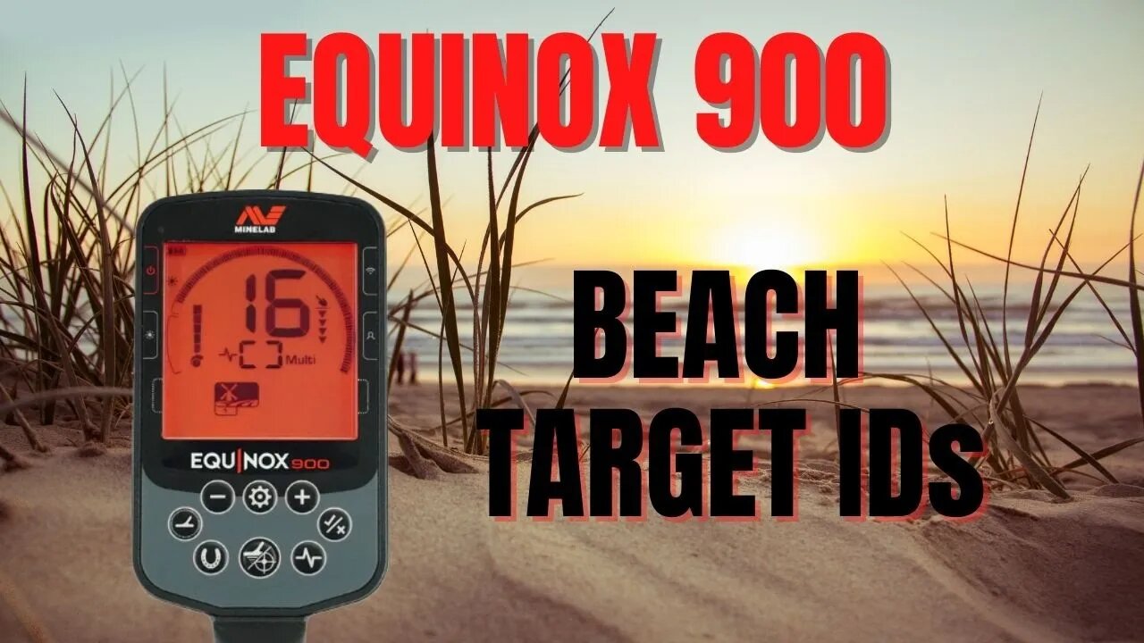 Minelab Equinox 900 Beach Targets