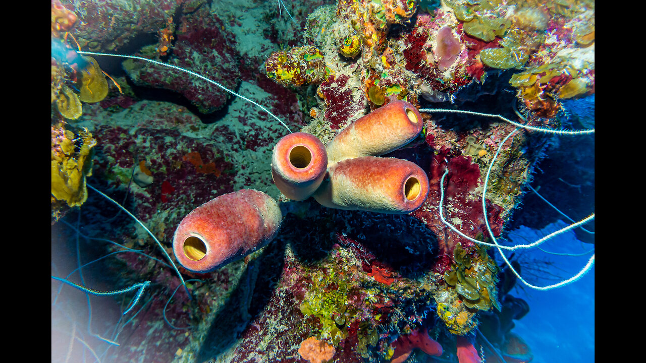 Scuba Diving in Cuba: Aston Costa Verde Resourt, Holguin