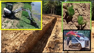 The Farm vlog & vrbo rustic cabin project update