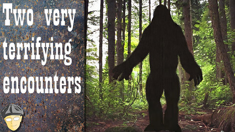 r/Bigfoot Two CRAZY Bigfoot encounters