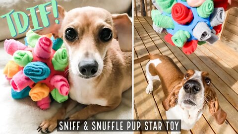 How to make an interactive dog toy Sniff & Snuffle Pup Star