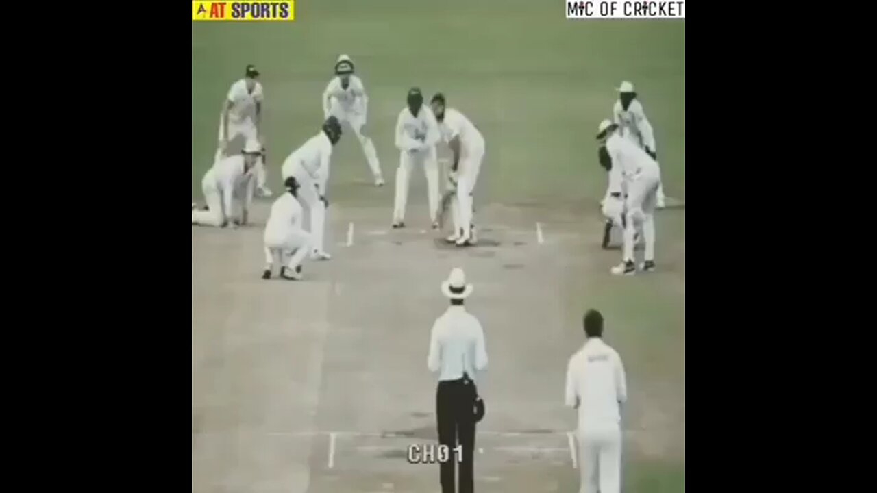 funny cricket video