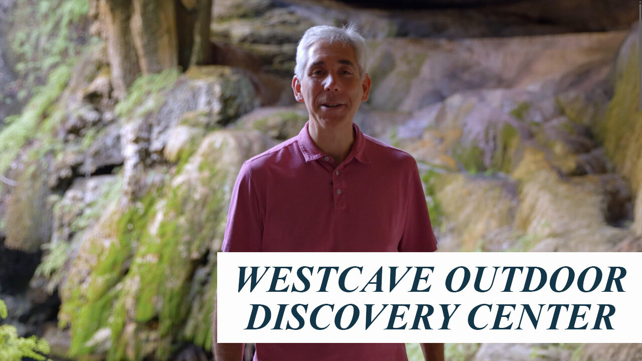 Discover Austin: Westcave Outdoor Discovery Center - Episode 105