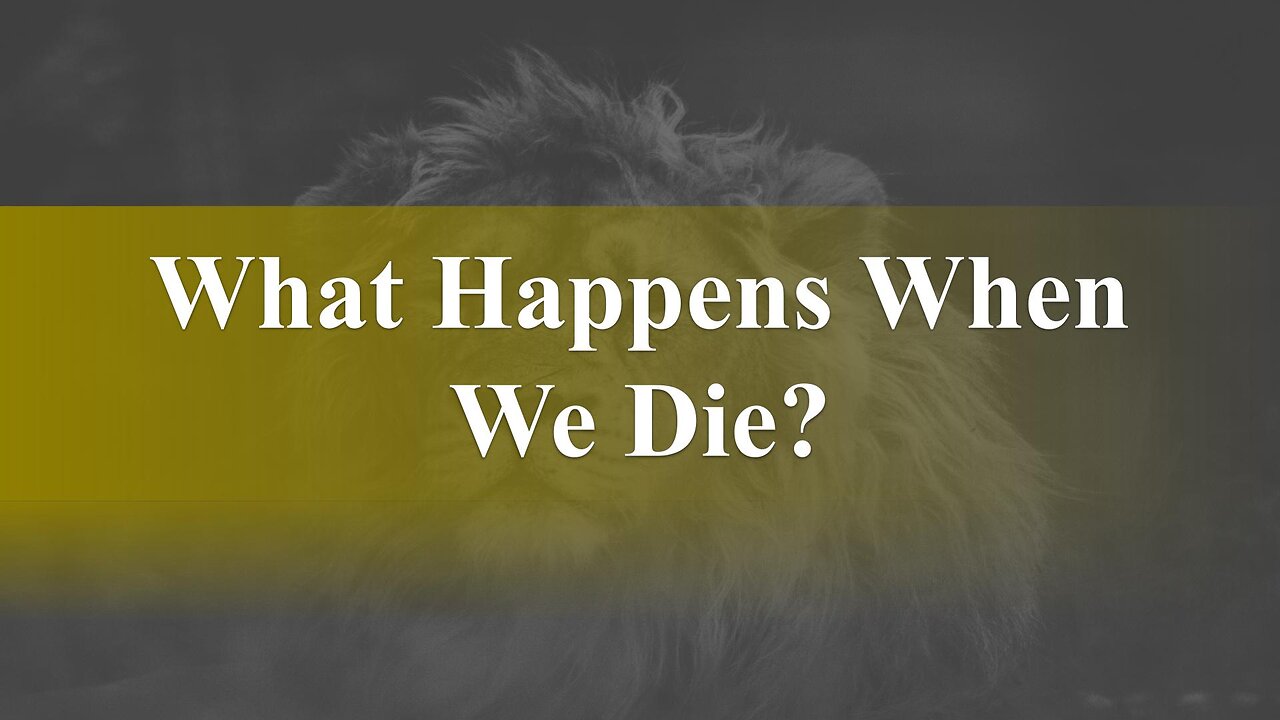 What happens when we die? - God Honest Truth Live Stream 12/16/2022