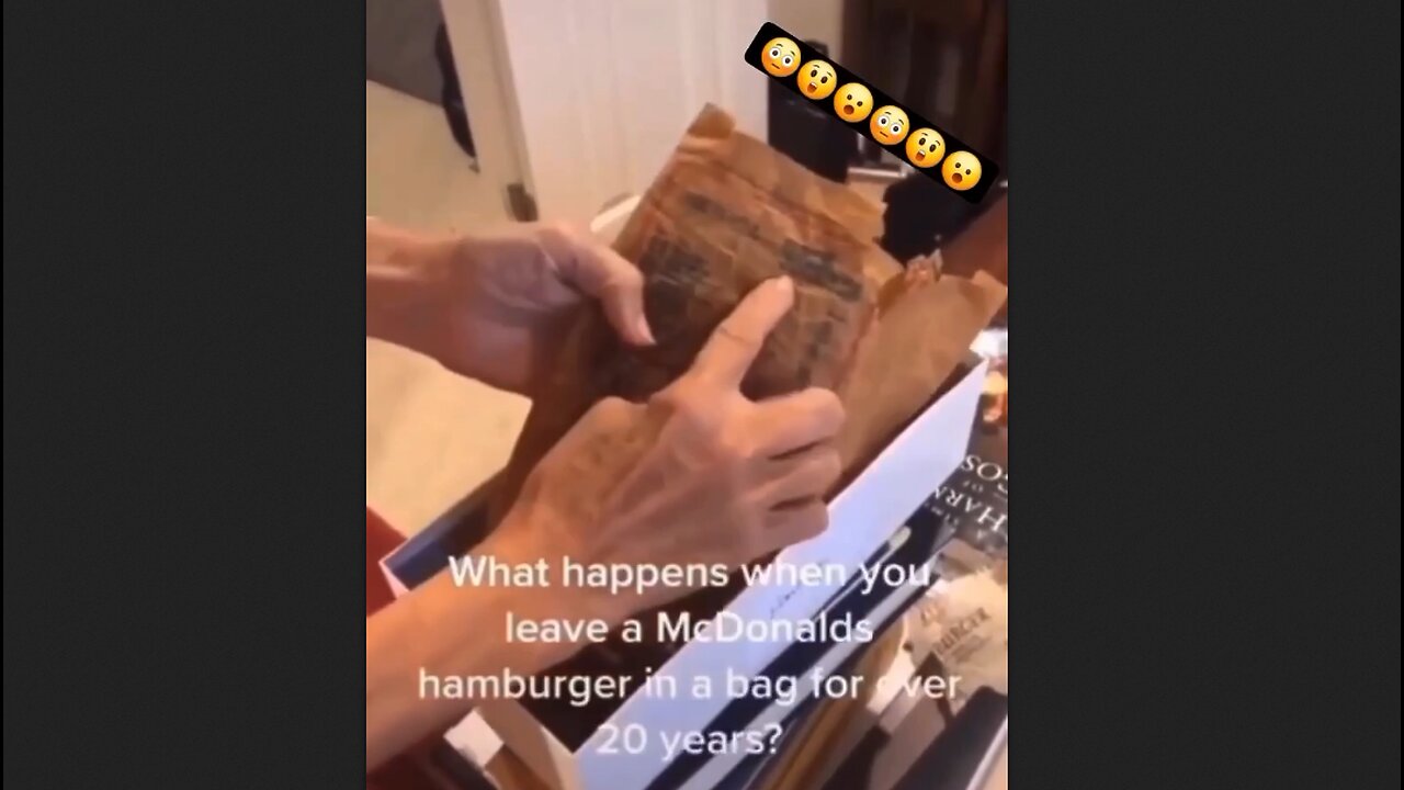 McDonalds Hamburger After Being In A Bag For Over 20 Years