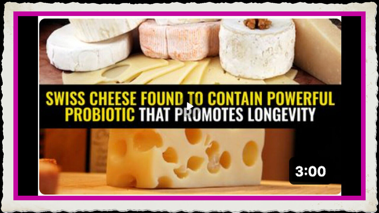 Swiss cheese found to contain powerful probiotic that promotes longevity