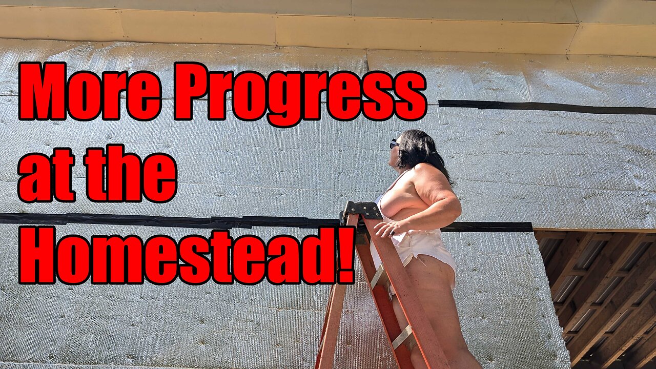 Ep. 25 - Fixing our TJI Joists and Taking Care of Small Stuff Around the Homestead