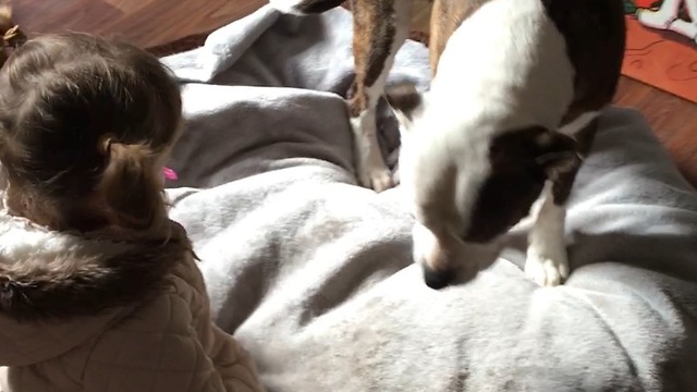 Little girl giving her best dog a hug