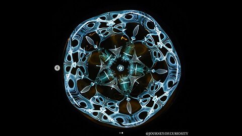 Worldwide Men's Group - November 6 2023 - Spotlight: WATER CARRIES SOUND AND LIGHT