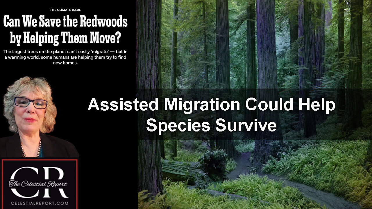 Assisted Migration Could Help Species Survive