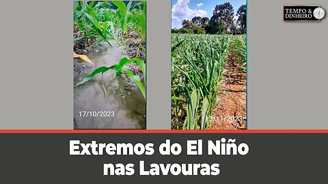 Extremos do El Niño : antes excesso de água agora escaldadura, mostra Marcos Agostoniack