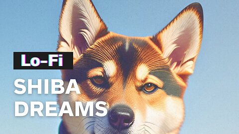 Shiba Dreams 🌘 Calming Lo-Fi Mix for a Good Mood and Positive Vibes