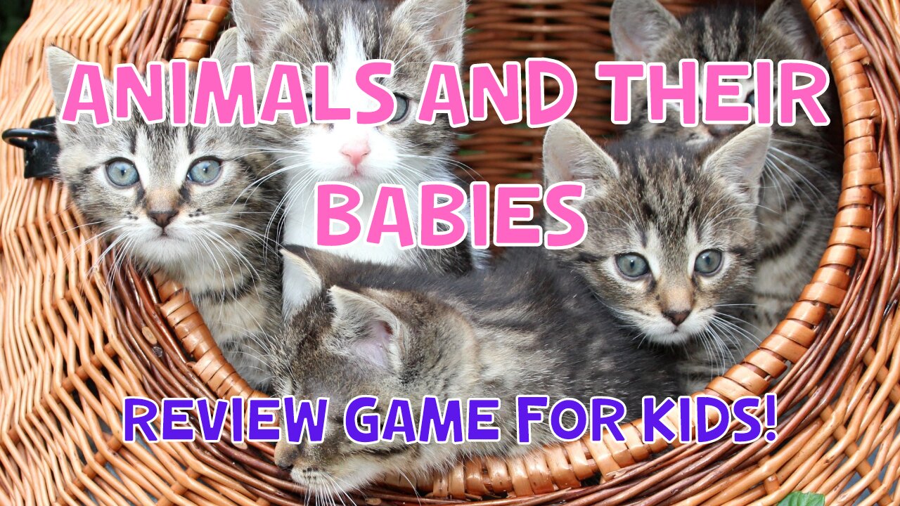 Animals And Their Babies | Review Quiz For Kids | 4K