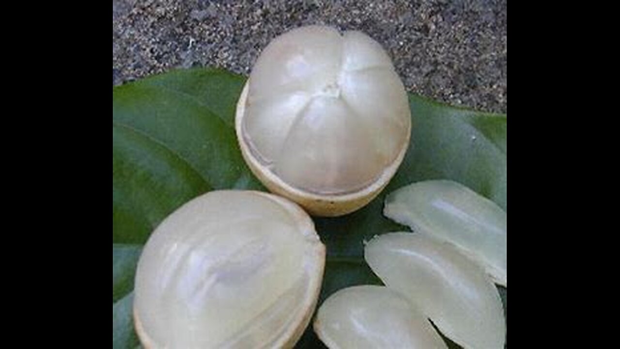 The Top 10 Health Benefits Of Duku Fruit