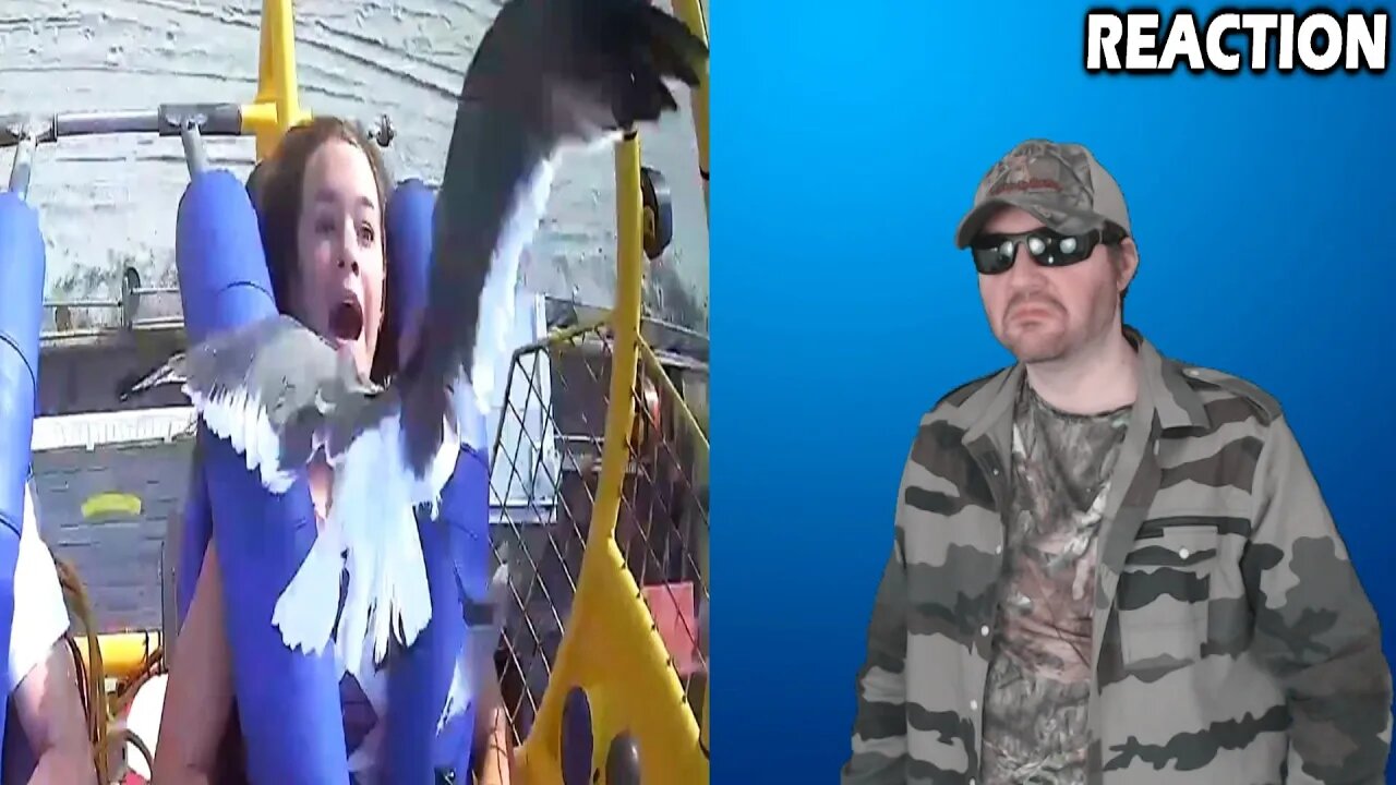 Bird Shows Up At The Worst Time (Daily Dose Of Internet) REACTION!!! (BBT)