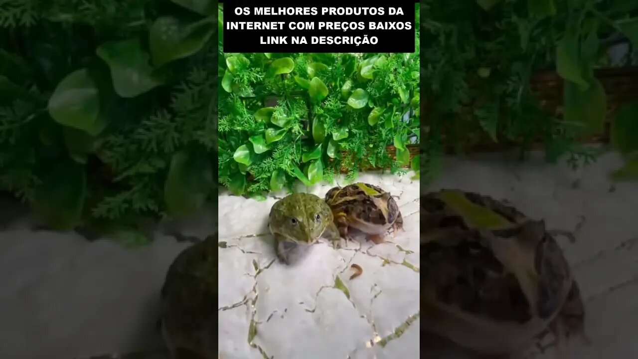farinha pouca meu pirão primeiro 😂😂😂