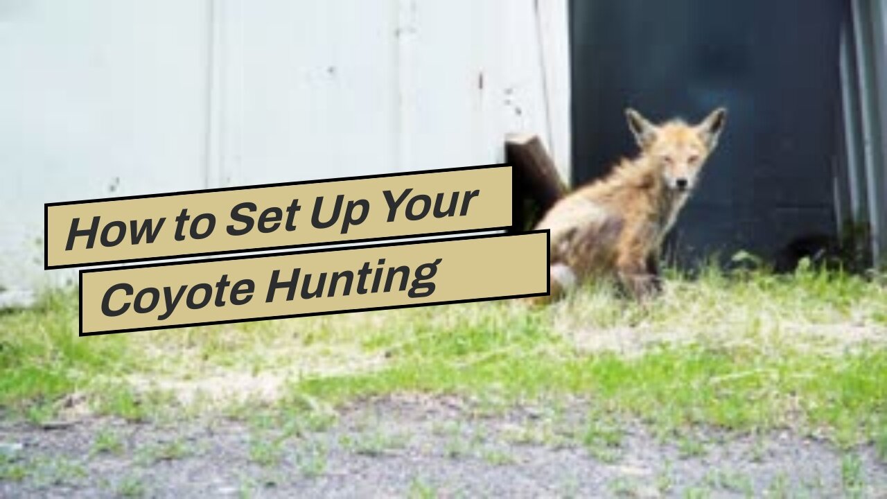 How to Set Up Your Coyote Hunting Gear for Maximum Efficiency