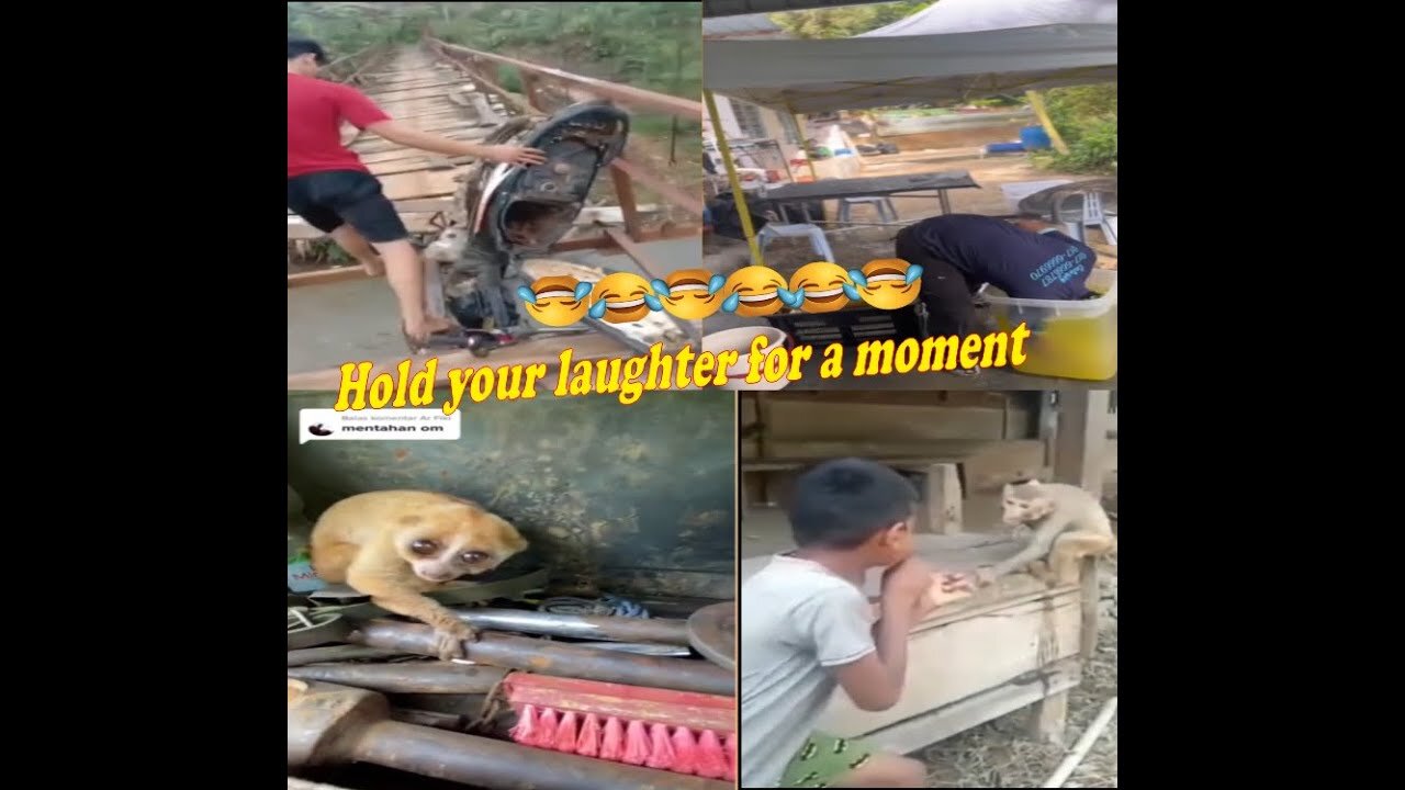 Funny videos are still trending in 2023 random #5 | Laughter is healthy | all content channel