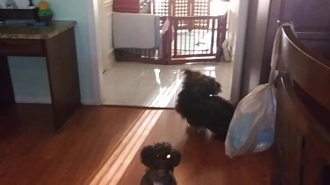 G Litter Kitchen Play Time(4)