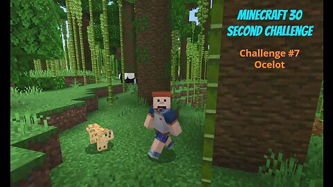 Minecraft 30 Second Challenge - Challenge 7 - Ocelot
