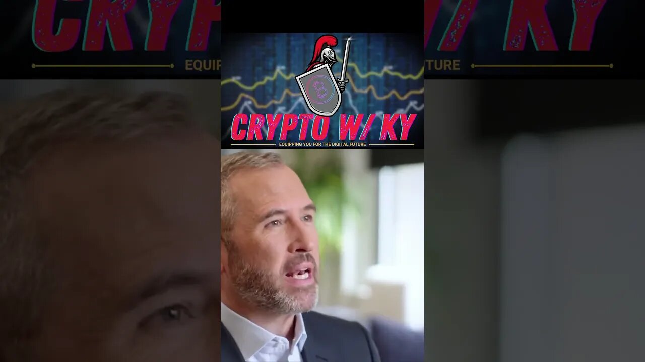 Ripple CEO says: "SEC IS FAKE, AND LYING" #crypto #xrp #bitcoin