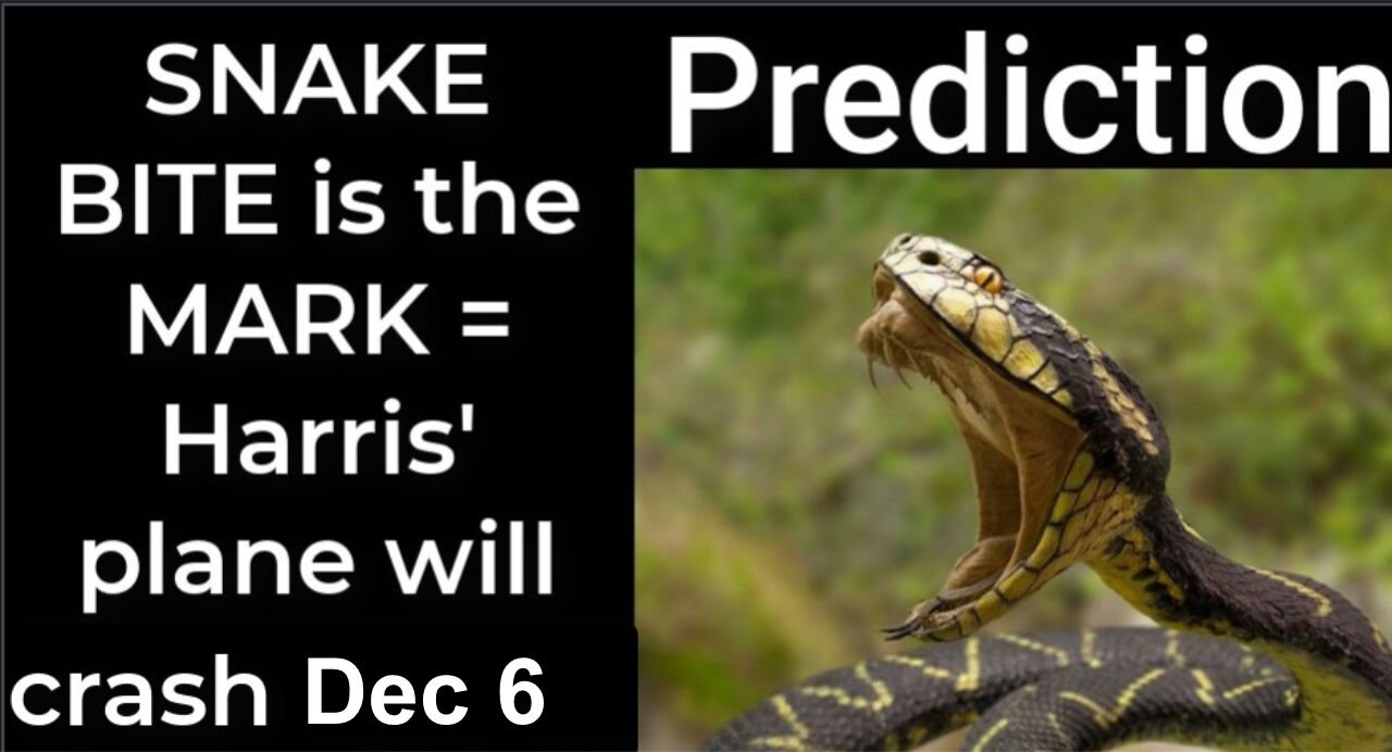 Prediction - SNAKE BITE prophecy = Harris’ plane will crash Dec 6