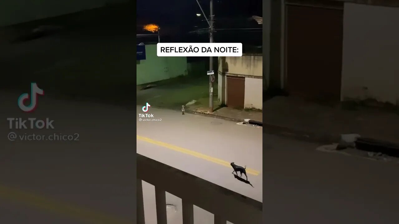 Reflexão da noite ( MEME )