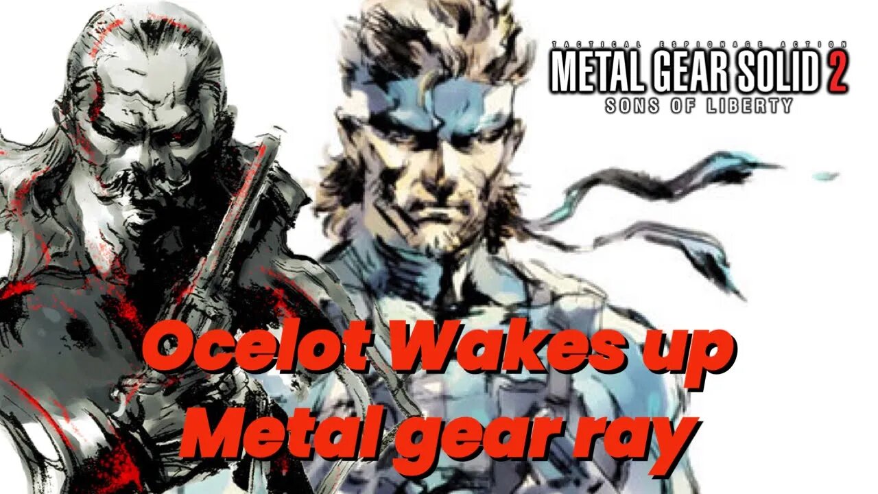 Metal Gear Solid 2: Sons of Liberty Walkthrough gameplay part 3