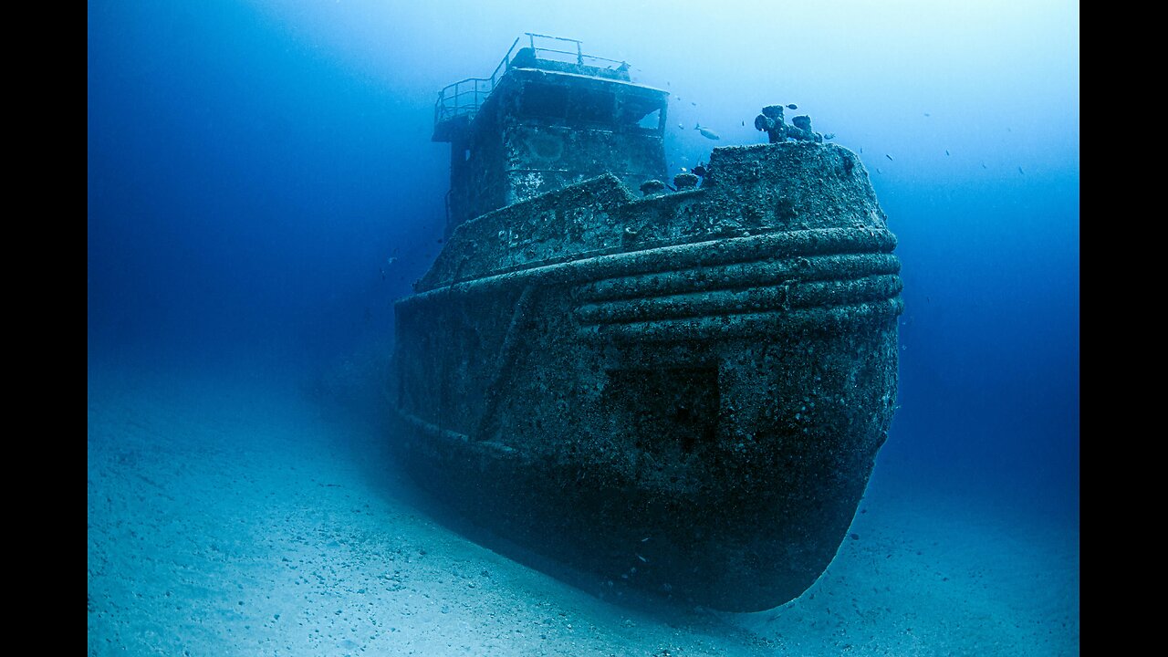 A 452 Year Old Shipwreck Was Found Off The Florida Coast And It s Led To An International Feud