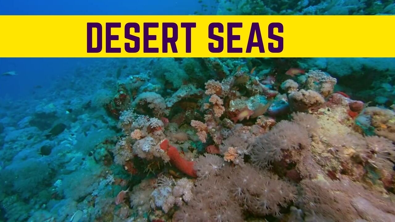 Desert Seas