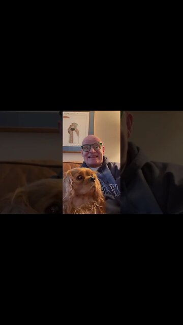 Get one of these to help your mood. #Puppies