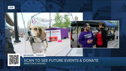 Bucks and Pups at Fiserv Forum