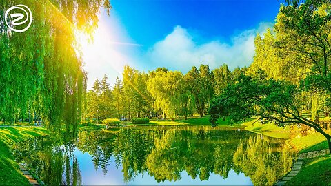 Beautiful Relaxation Music and Meditation Compilation to Raise Positive Vibrations