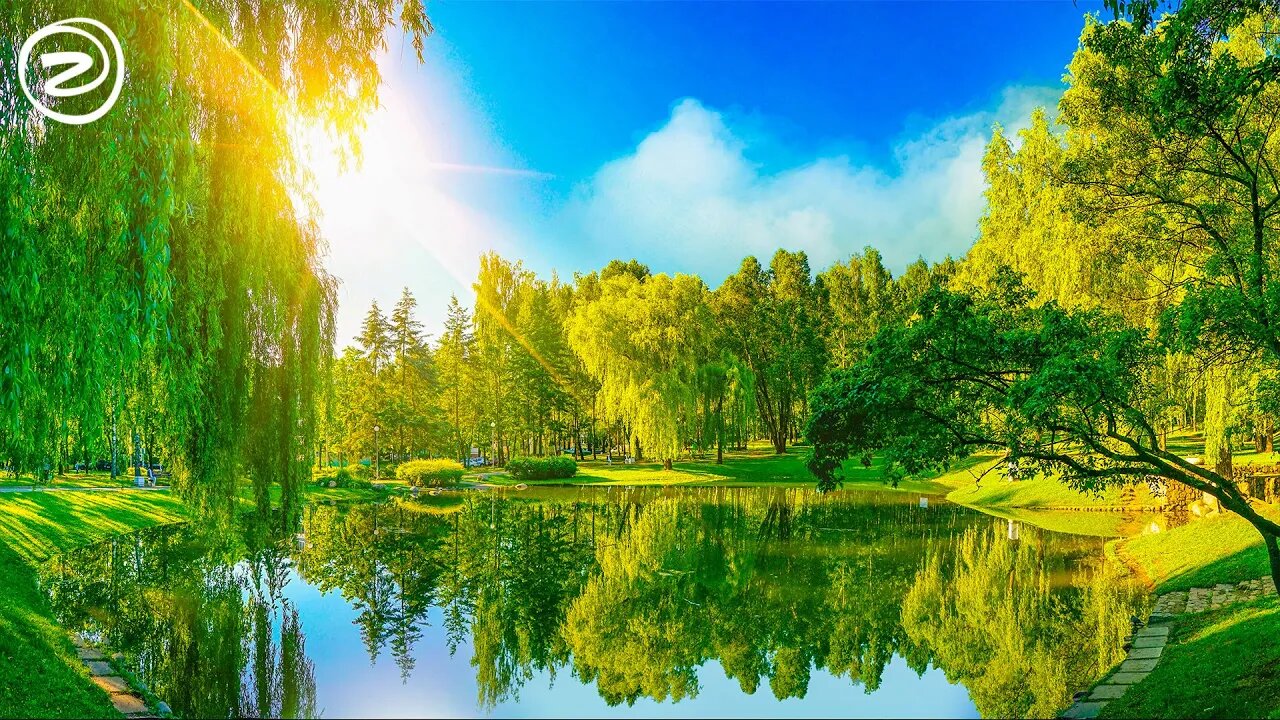 Beautiful Relaxation Music and Meditation Compilation to Raise Positive Vibrations