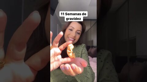 11 Semanas de gravidez