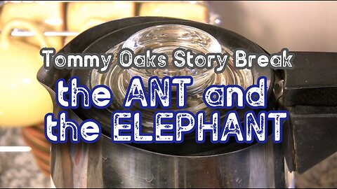 The Ant and the Elephant