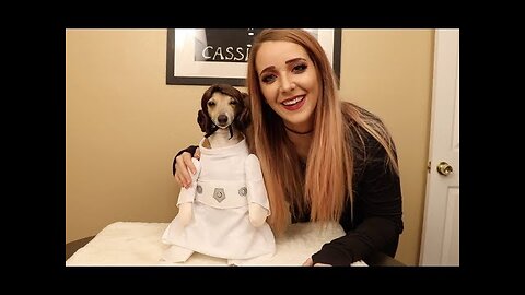 My Dogs Try On Halloween Costumes