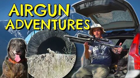 MULTI-DAY AIRGUN HUNTING ADVENTURE